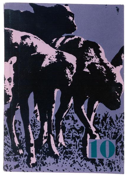 Obrázek: rr10c